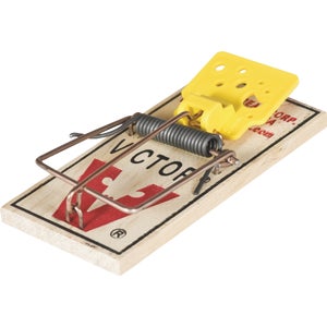 Rat & Mouse Control