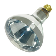 250W R40 Heat Lamp