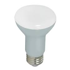 R20 Led Bulb