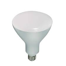 Br40 Led Bulb