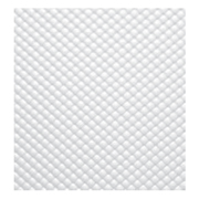 2X4 Prismatic Clear Panel 20/Pk