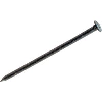 8D x 2-1/2" Galvanized Casing Nails - 5lb