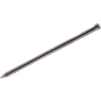 6D X 2" Galv Casing Nail 1Lb