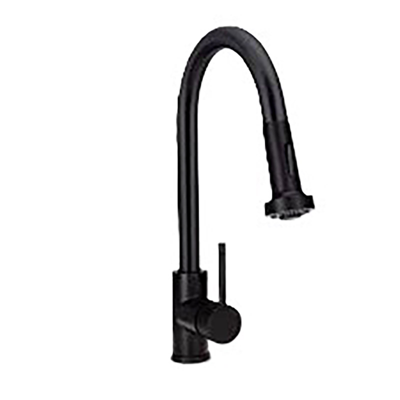 Single Handle Kitchen Faucet with Pull Down Sprayer - Matte Black